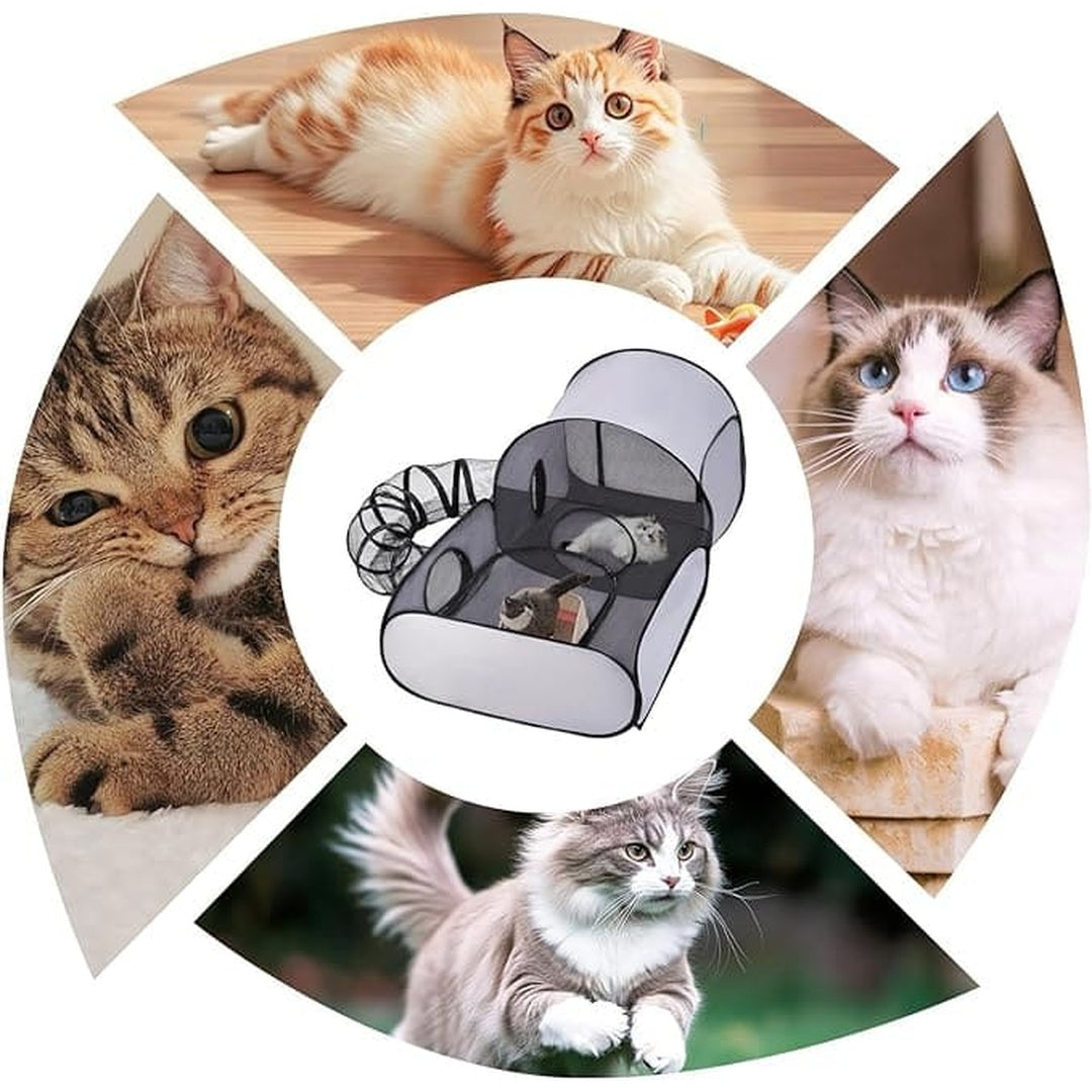 Katoo™ Opvouwbare Kattenren Tent