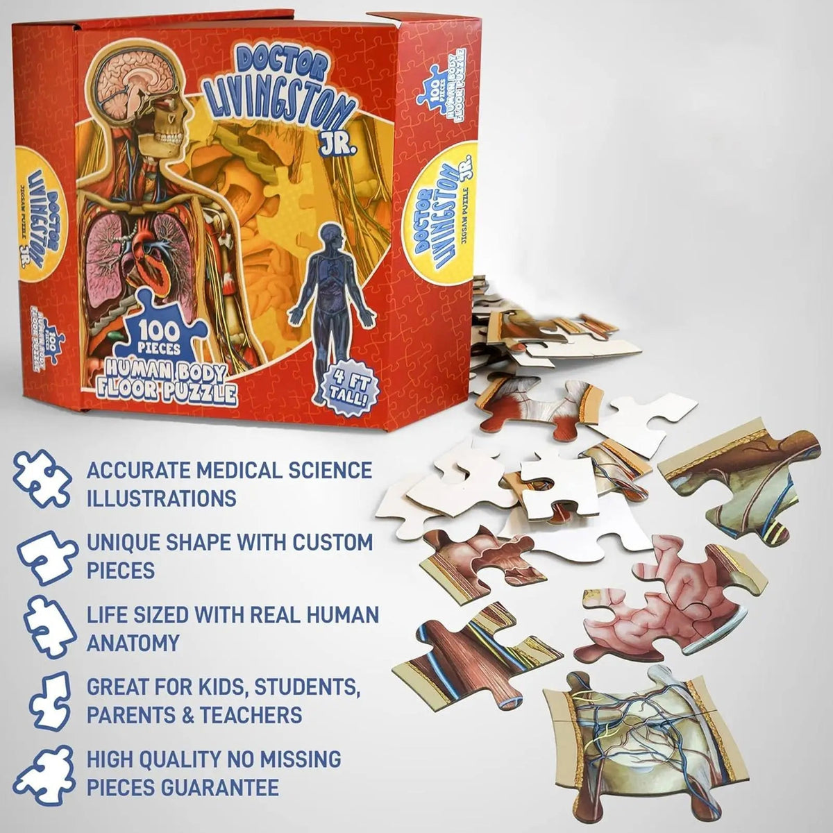Speelo™ Educatieve Anatomie Puzzelset