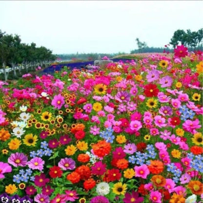 Hortus™ Gemengde Bloemenzaden