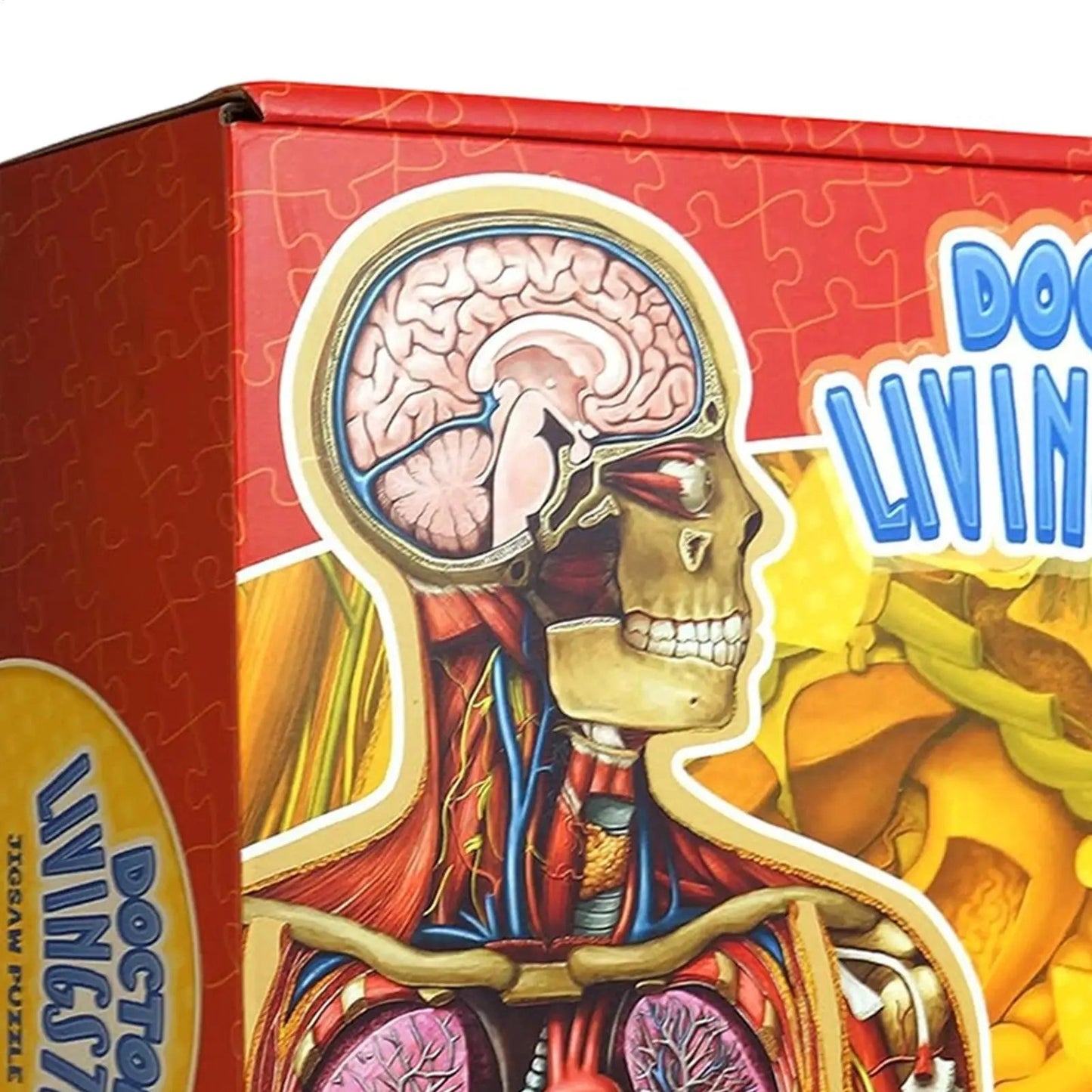Speelo™ Educatieve Anatomie Puzzelset