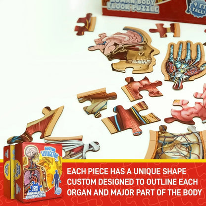 Speelo™ Educatieve Anatomie Puzzelset
