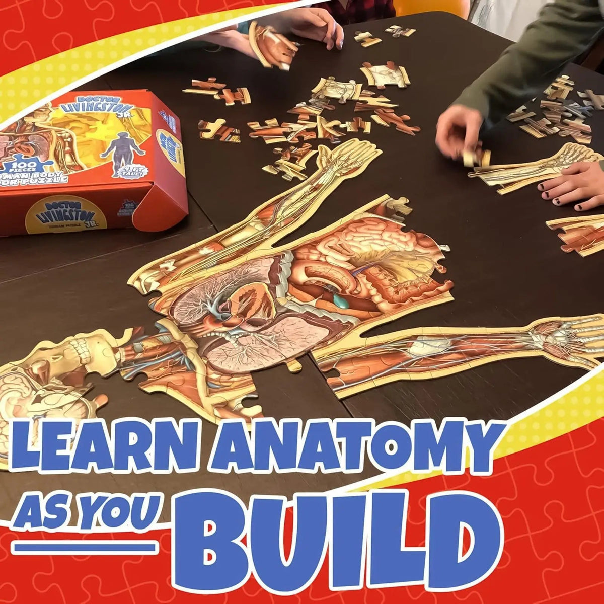 Speelo™ Educatieve Anatomie Puzzelset