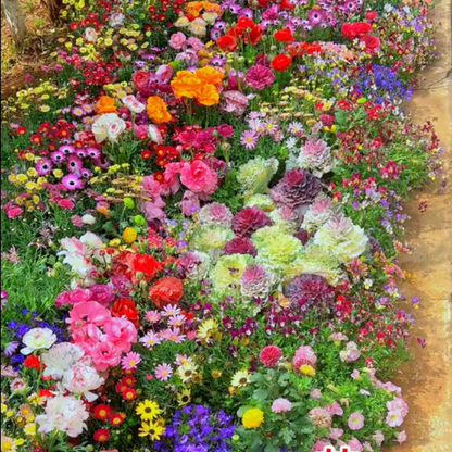 Hortus™ Gemengde Bloemenzaden