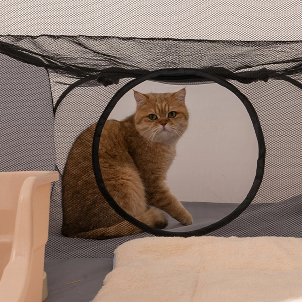 Katoo™ Opvouwbare Kattenren Tent