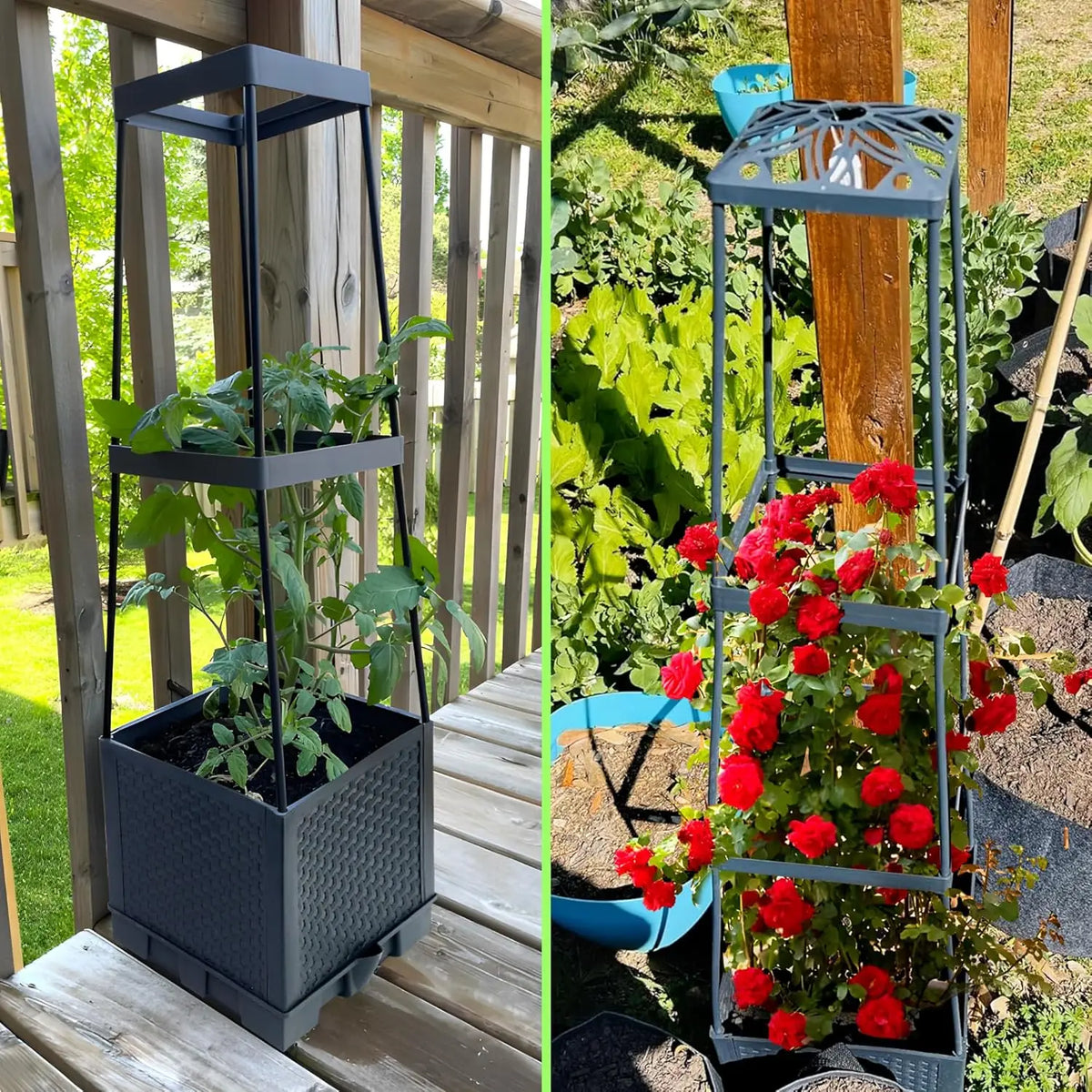 Hortus™ Klimplant Plantentoren