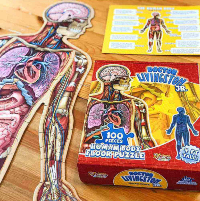 Speelo™ Educatieve Anatomie Puzzelset