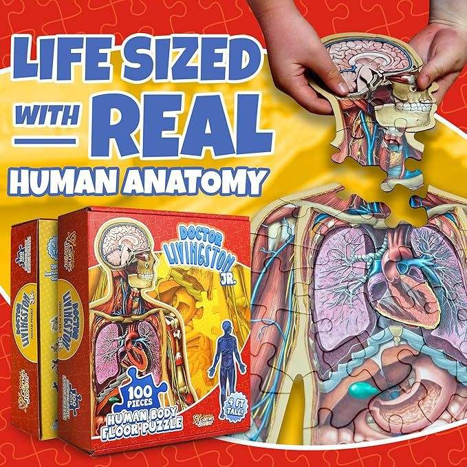Speelo™ Educatieve Anatomie Puzzelset