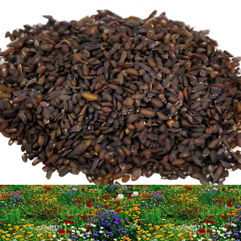 Hortus™ Gemengde Bloemenzaden