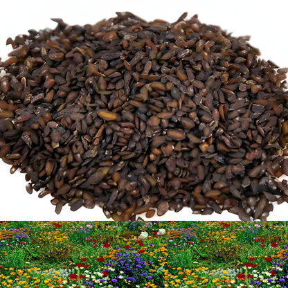 Hortus™ Gemengde Bloemenzaden