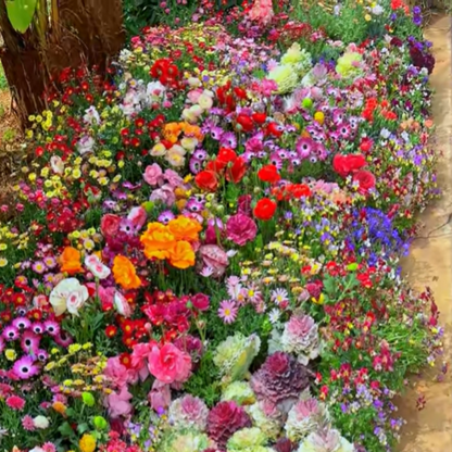 Hortus™ Gemengde Bloemenzaden
