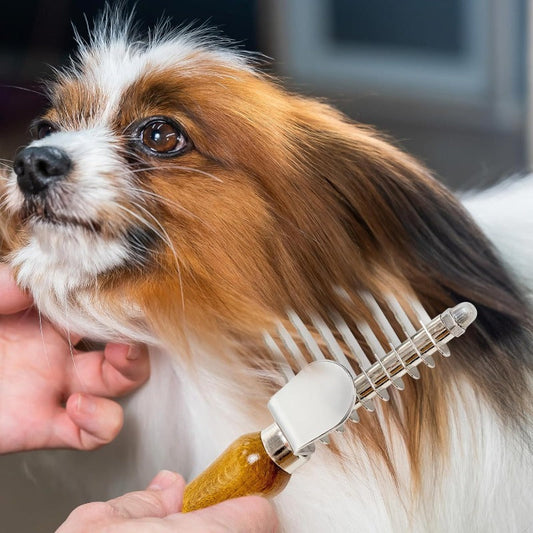 Pawtara™ Ontklit Hark voor Huisdieren