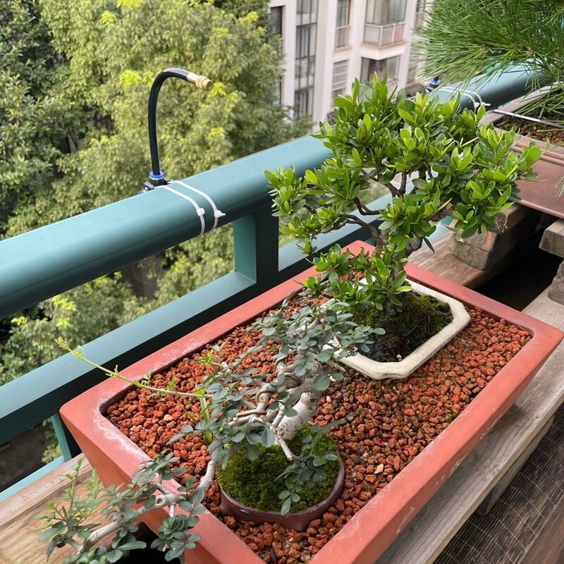 Hortus™ Tuin Irrigatieset