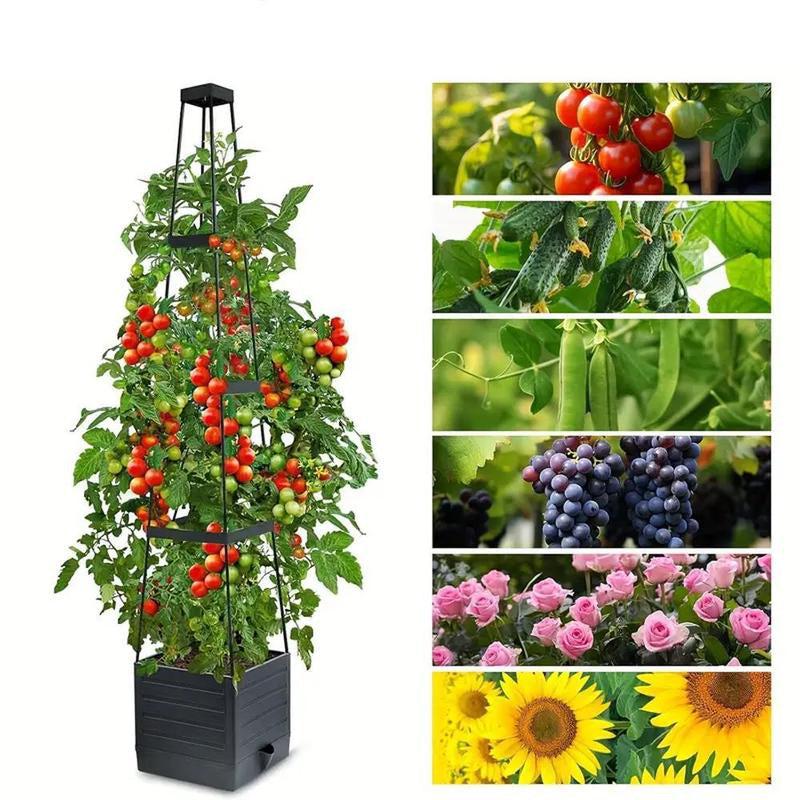 Hortus™ Klimplant Plantentoren